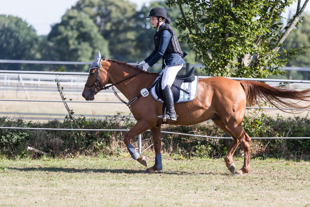 Bild 22 - Pony Akademie Turnier